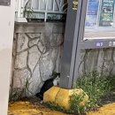 민성베이커리 이미지