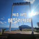 무무관광펜션 | 제주카페 추천, 성산일출봉 뷰 헤일리카페