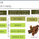 태가커피 이미지