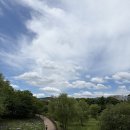 화랑공원 | 판교 화랑공원 물놀이장 다녀온 후기 🌿