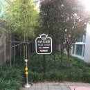 채움 작은도서관 이미지