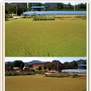 소리산황토밸리 이미지