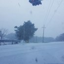 꿈이익는뜨락 이미지