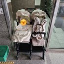 스케치마인드 | [내돈내산] 잉글레시나 트윈스케치 샌드베이지 구매후기