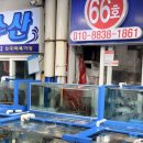 대양수산 | 보령 주말 드라이브 코스, 대천항 수산시장 삼팔대양수산 갑오징어 가격 후기