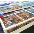 시장연다라 이미지