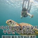 나사블루윙피싱 | 아이랑 세부 한달살기, 주말엔 대체 뭐하지? 육아맘 필수 저장! 세부 액티비티 리스트 🌟