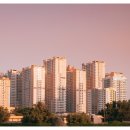 제일부동산공인중개사사무소 이미지