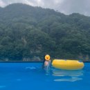 오동나무집 | 26년 7월, 강원도 홍천 여행 [노블레스노마드펜션, 팔봉산용궁불쭈꾸미, 학교카페운공의낮, 오동나무집]
