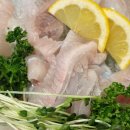 어부도 | 청주 횟집 사창동 어부수산횟집 솔직후기