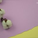 대명고시원 - 강동구 올림픽로62길 22 | 대명고시원