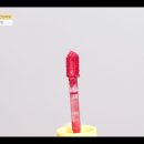 고운머리 이미지