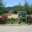 신조농장 이미지