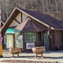 태백고원자연휴양림 자동차야영장 | 태백 캠핑장 추천, 태백고원자연휴양림 노지 사이트 겨울캠핑 후기