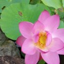 용정마을회관 이미지