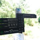 주왕산 너구마을??에서 금은광이 ( 1.8Km 전 ) ^^ 이미지