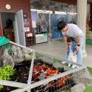 덕소자연사박물관 이미지