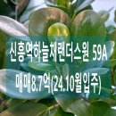 하늘채랜더스원공인중개사사무소 이미지