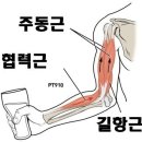 피트니스코 이미지