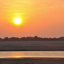 오리노코(orinoco) 이미지