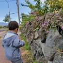 김순선조산원 | 자연주의 출산 후기 (제주도 김순선 조산원)