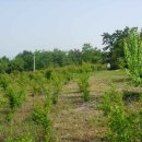 마동농장 이미지