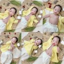 [내돈내산] 로다테이블 늘봄 화이트 - 셀프 백일 촬영 / 백일상차림 대여 추천