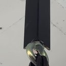 WS복싱클럽(김포장기점) 이미지