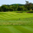 나인브릿지CC 이미지