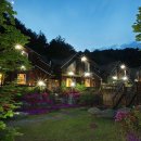 에스엔제이 이미지