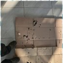 마스터정비 이미지