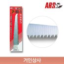아루스 이미지
