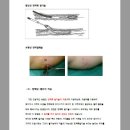 아나파적맥통증의원 이미지