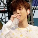 스타라이브 Daum카페