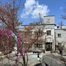 청솔노인전문요양원 이미지