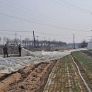 내고1농로 이미지