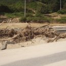 조마면사무소 이미지