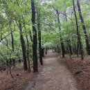 수원 광교산 (光敎山 시루봉 582) 26.08.22. 이미지