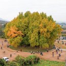 (주)은행나무 이미지