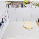 강아지 러그 물세탁 가능 미끄럼방지 내돈내산 카페트 후기