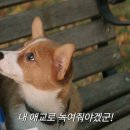 어게인 11월 이미지