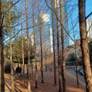 풍경공원 이미지