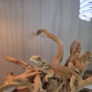 해피주 수원점 이미지