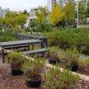 경춘선솔밭길 이미지