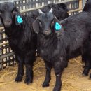 천관농장 이미지