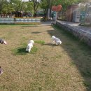 개린이 집합소 이미지