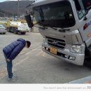 예의 이미지