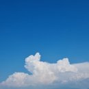 심원농장 이미지