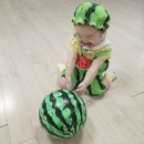 방그리 오감만족 : 김해 롯데마트 장유점 / 아기 문화센터 꿀팁
