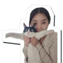 노블오피스텔 | 부산 남포동 웨딩촬영드레스 대여 가능한 노블드블랑 후기